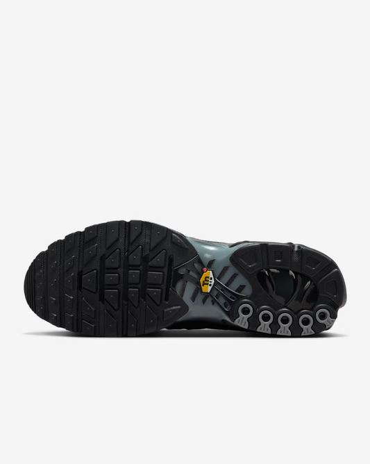 Nike Air Max Plus Paris